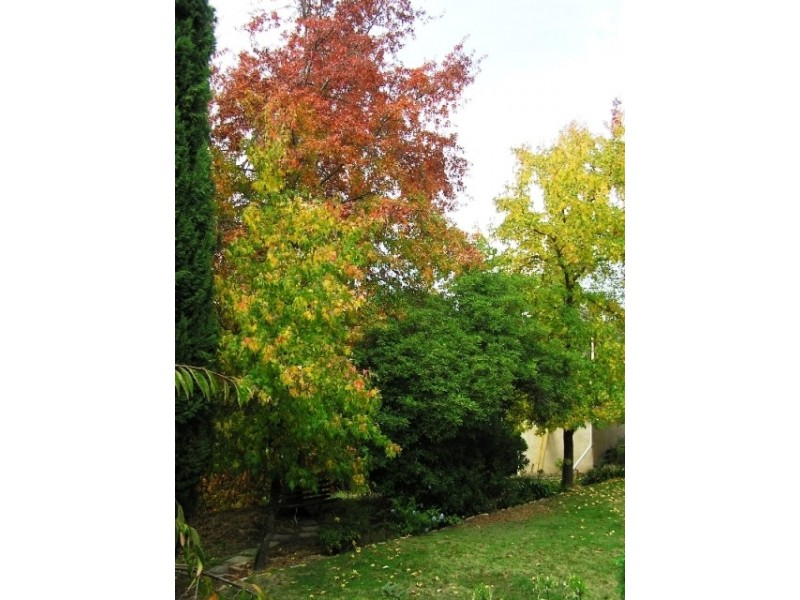 1 Stanley Place, Clare SA 5453