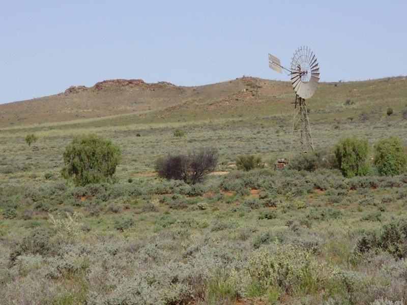 . “Kalabity Station” via Broken Hill, Olary SA 5440