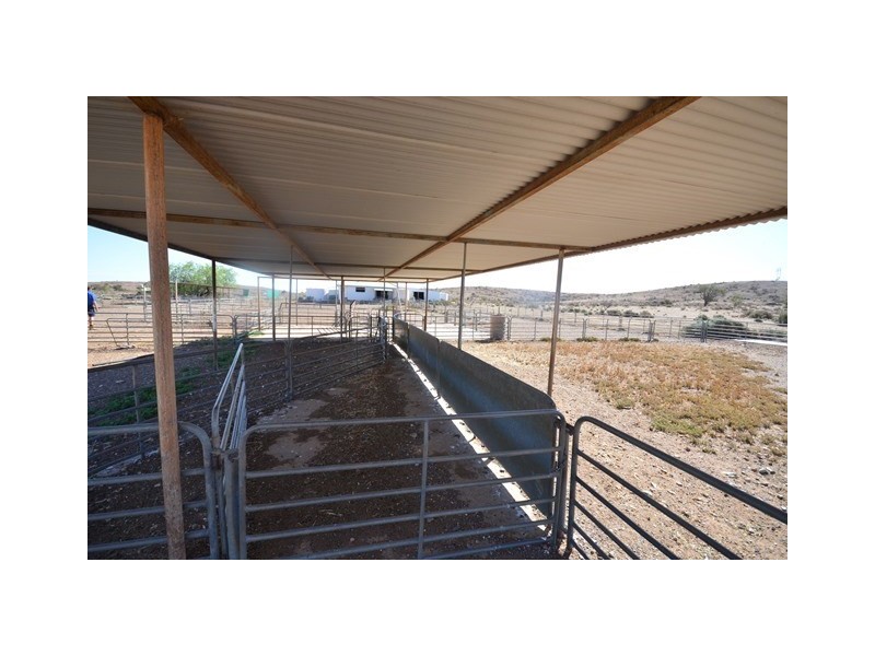 . “Kalabity Station” via Broken Hill, Olary SA 5440