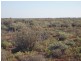 . “Kalabity Station” via Broken Hill, Olary SA 5440