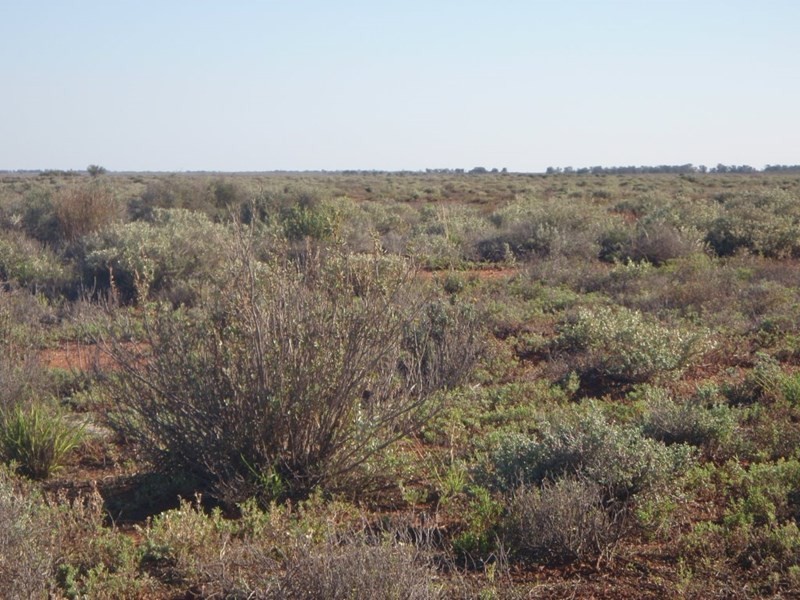 . “Kalabity Station” via Broken Hill, Olary SA 5440