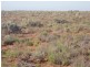 . “Kalabity Station” via Broken Hill, Olary SA 5440