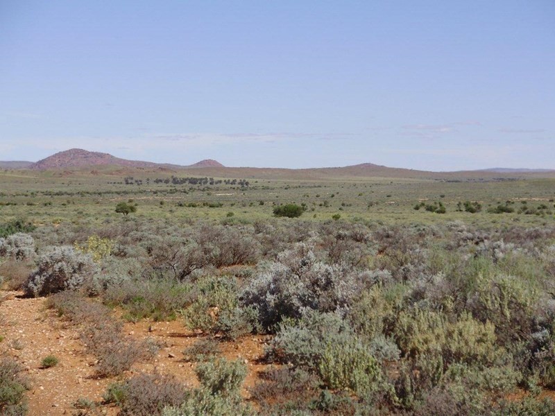 . “Kalabity Station”, Broken Hill NSW 2880