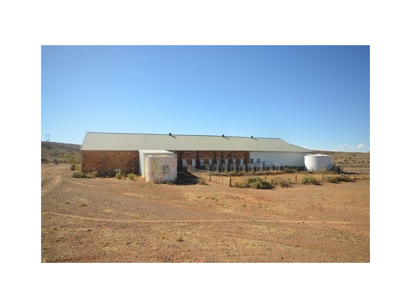 . “Kalabity Station”, Broken Hill NSW 2880