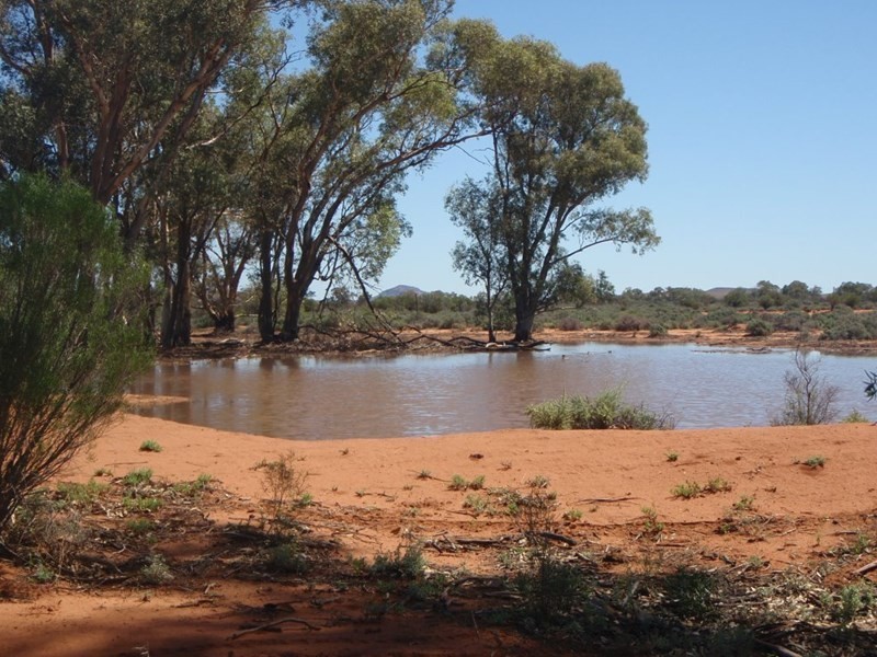 . “Kalabity Station”, Broken Hill NSW 2880