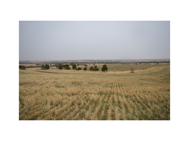 “Brooklyn” Brooklyn Road, Melrose SA 5483