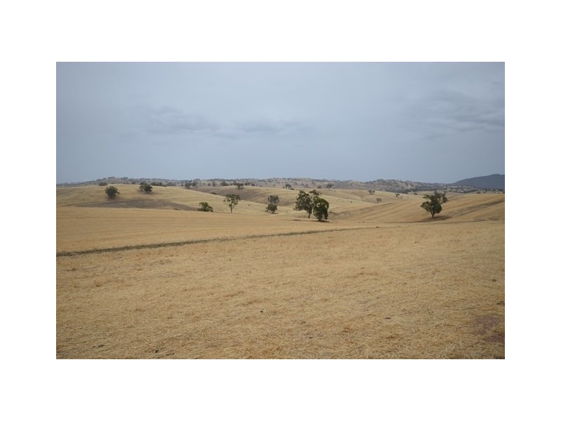 “Brooklyn” Brooklyn Road, Melrose SA 5483