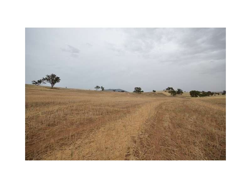 “Brooklyn” Brooklyn Road, Melrose SA 5483