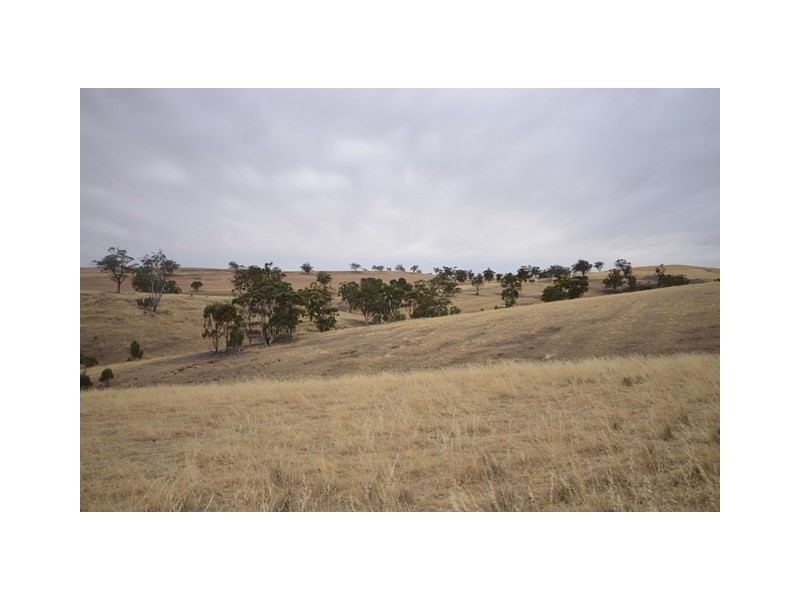 “Brooklyn” Brooklyn Road, Melrose SA 5483