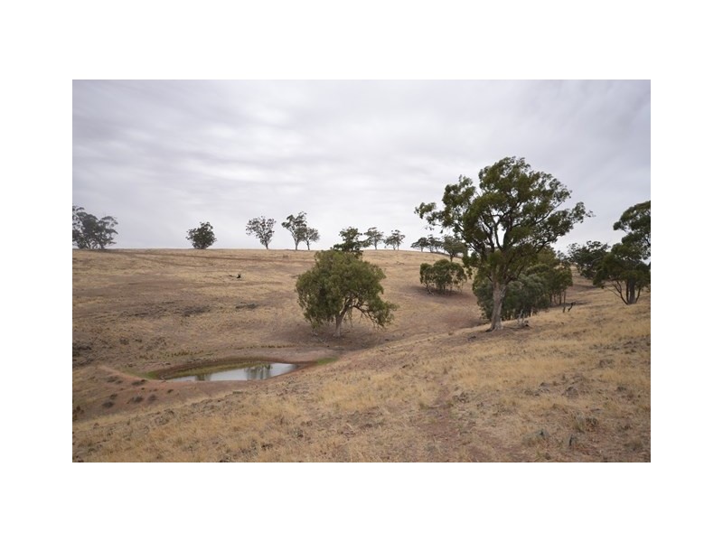 “Brooklyn” Brooklyn Road, Melrose SA 5483