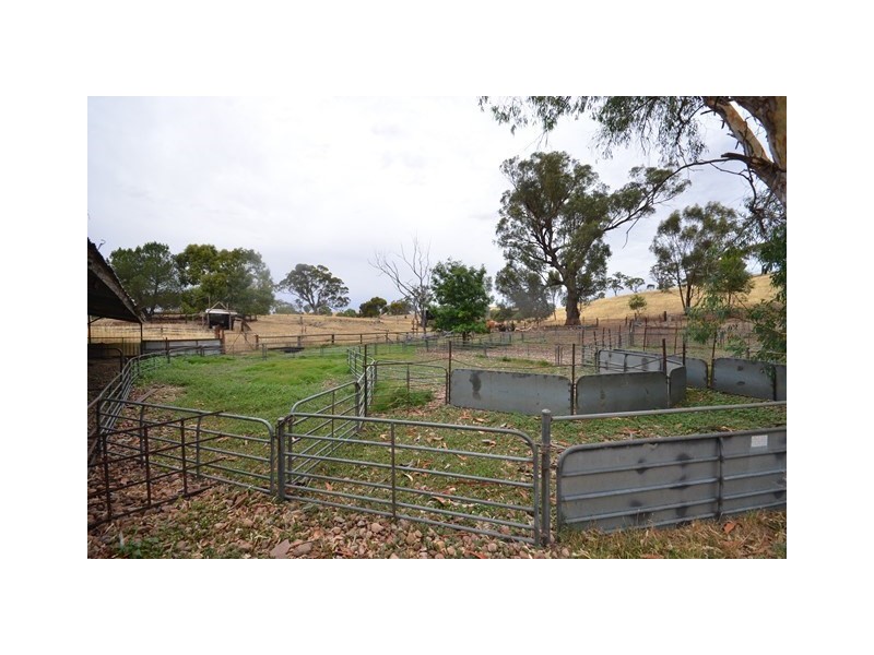 “Brooklyn” Brooklyn Road, Melrose SA 5483