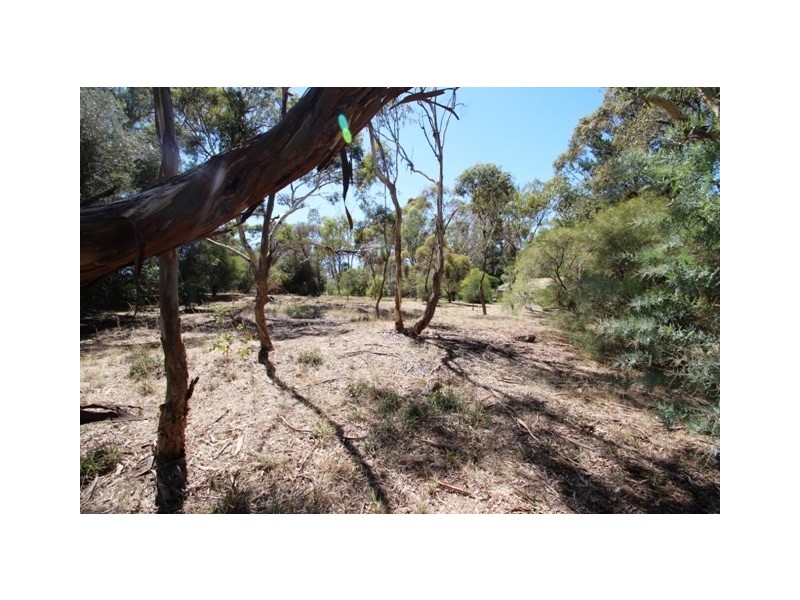Lot 66 Adelaide North Road, Watervale SA 5452