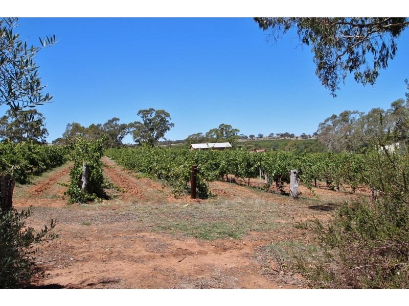 8 Adelaide North Road, Watervale SA 5452