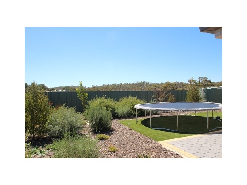 15 Tamblyn Street, Clare SA 5453