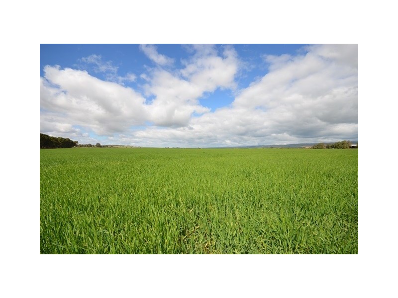 Ma’s and Lagoon Main Road, Robertstown SA 5381