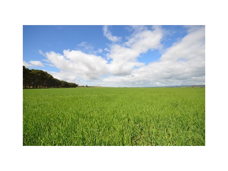 Ma’s and Lagoon Main Road, Robertstown SA 5381