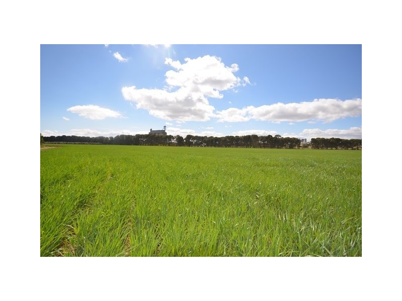 Ma’s and Lagoon Main Road, Robertstown SA 5381