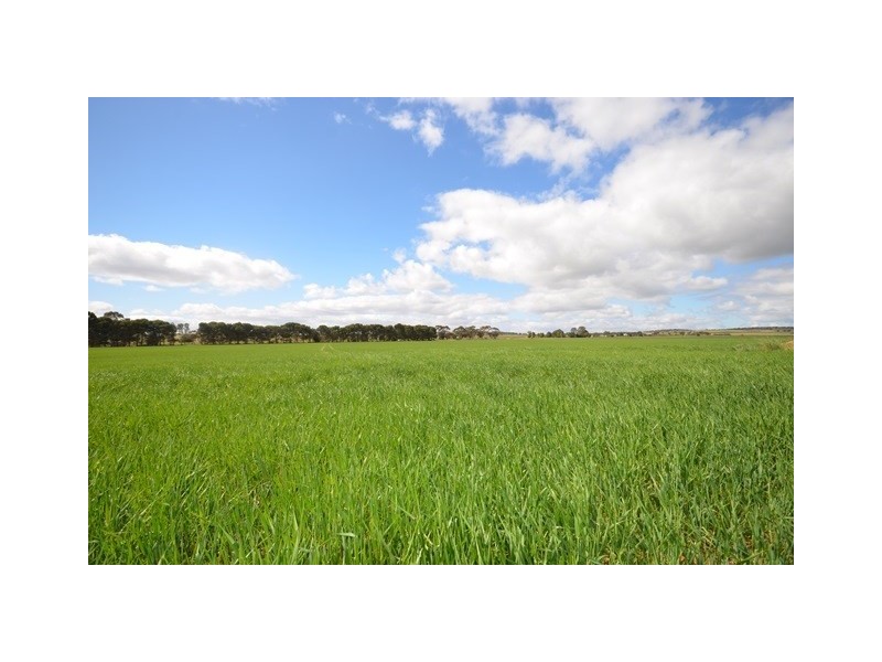 Ma’s and Lagoon Main Road, Robertstown SA 5381