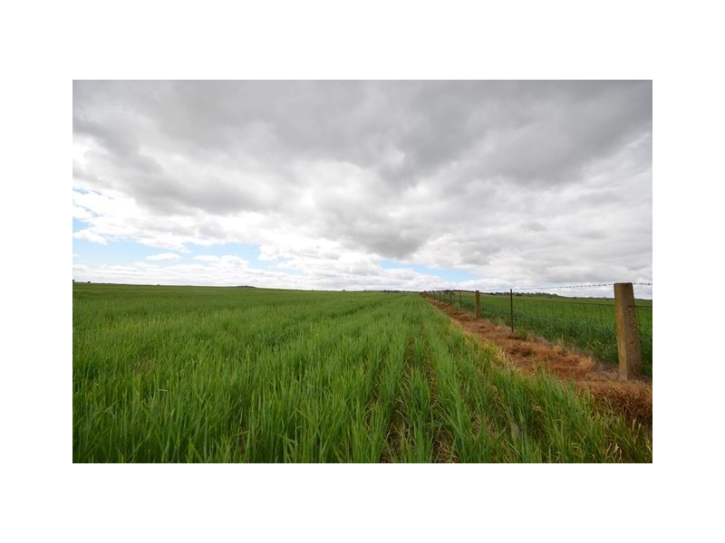 Ma’s and Lagoon Main Road, Robertstown SA 5381