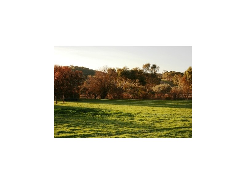 Lots 2-7 High Street, Armagh SA 5453