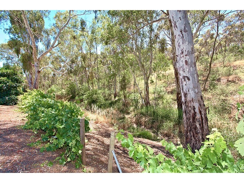 No. 1 Jessie Street, Clare SA 5453