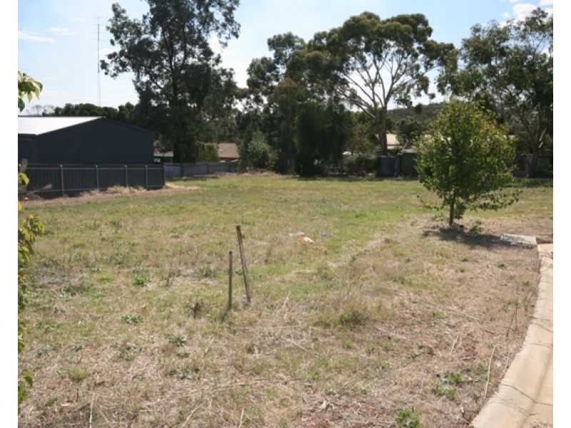 Sheoak Heights Estate, Clare SA 5453