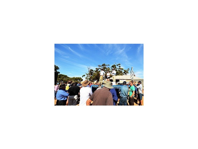 Clearing Sale 1691 Templeton Road Via Balaklava, Mount Templeton SA 5461