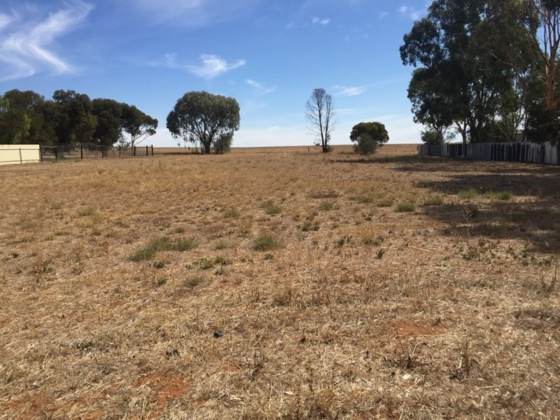Lot 618 and 619 Saddleworth Road, Auburn SA 5451