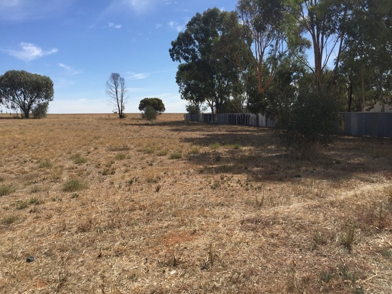 Lot 618 and 619 Saddleworth Road, Auburn SA 5451