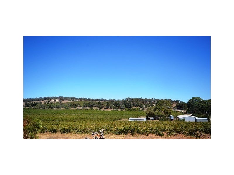 52 Kimber Road, Clare SA 5453