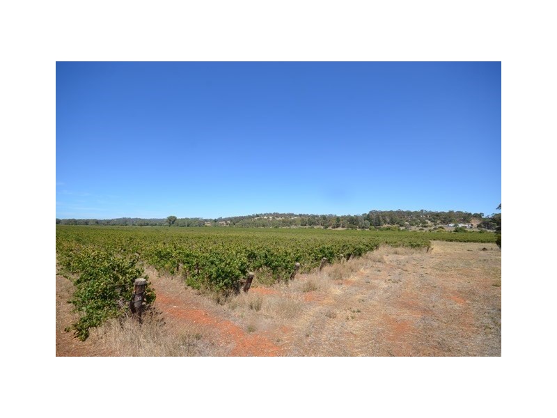 52 Kimber Road, Clare SA 5453