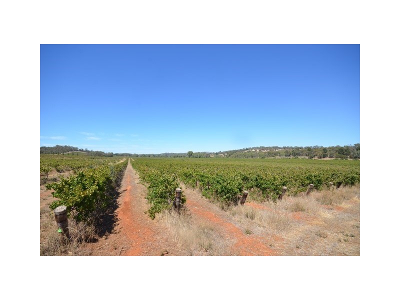 52 Kimber Road, Clare SA 5453