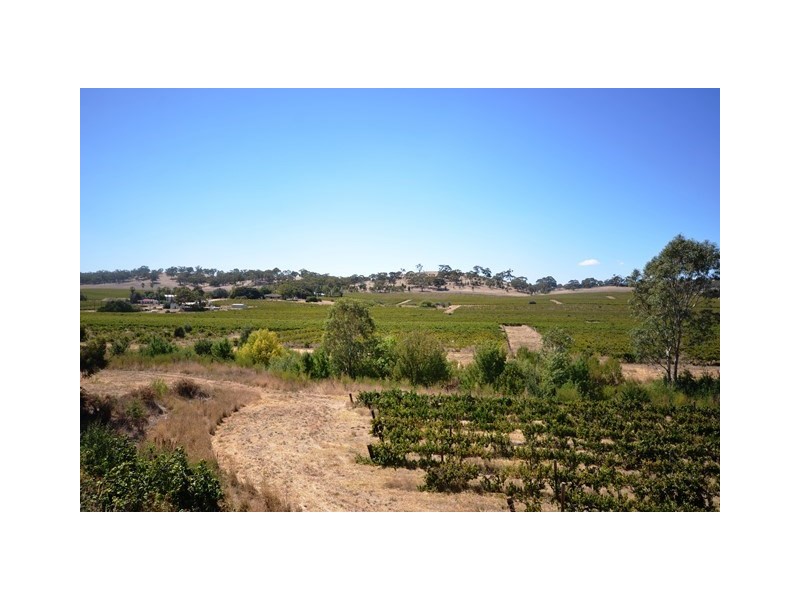52 Kimber Road, Clare SA 5453