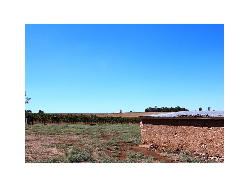 Lot 80 Kingston Terrace, Auburn SA 5451