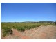 52 Kimber Road, Clare SA 5453