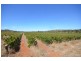 52 Kimber Road, Clare SA 5453