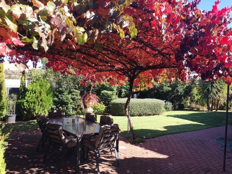 Lot 12 Ayers Street, Burra SA 5417