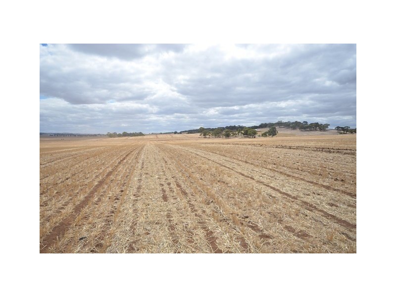 “NJ’s” Tarnma Road, Marrabel SA 5413