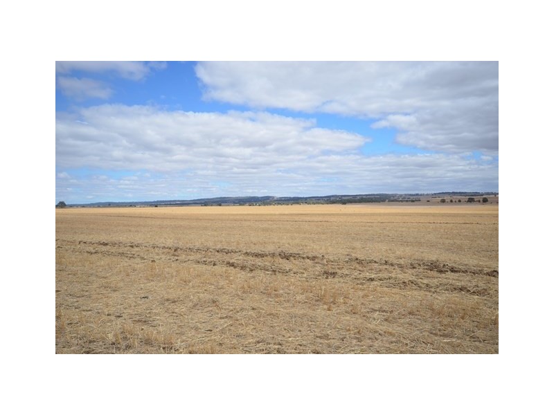 “NJ’s” Tarnma Road, Marrabel SA 5413