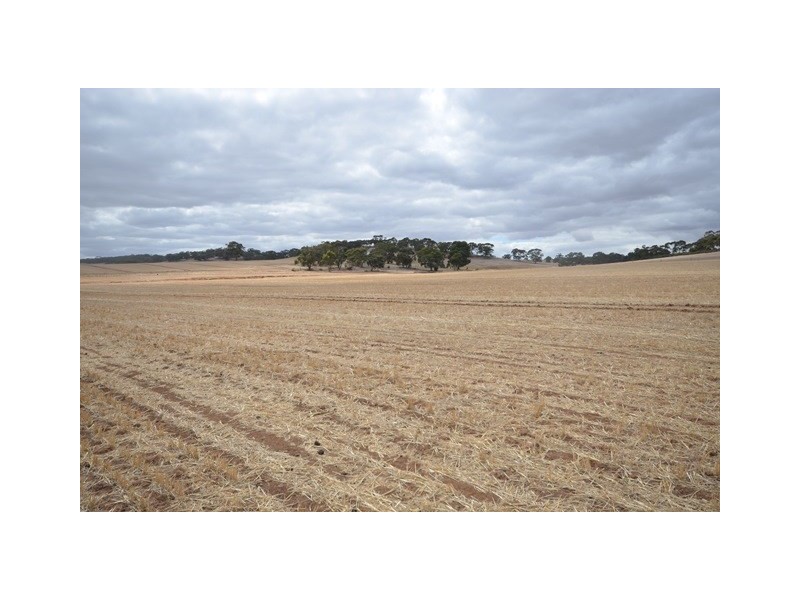 “NJ’s” Tarnma Road, Marrabel SA 5413