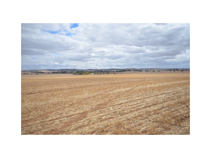 “NJ’s” Tarnma Road, Marrabel SA 5413