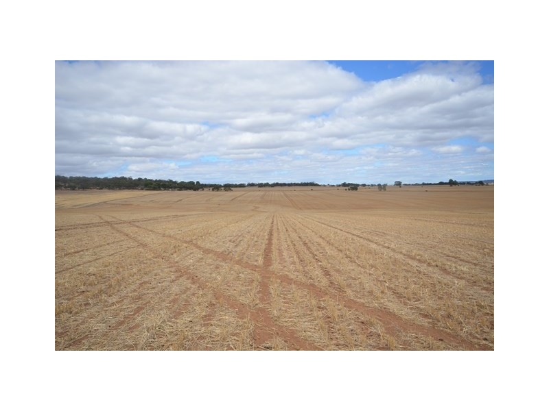 “NJ’s” Tarnma Road, Marrabel SA 5413