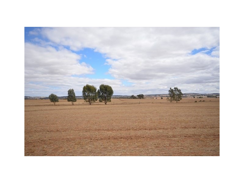 “NJ’s” Tarnma Road, Marrabel SA 5413