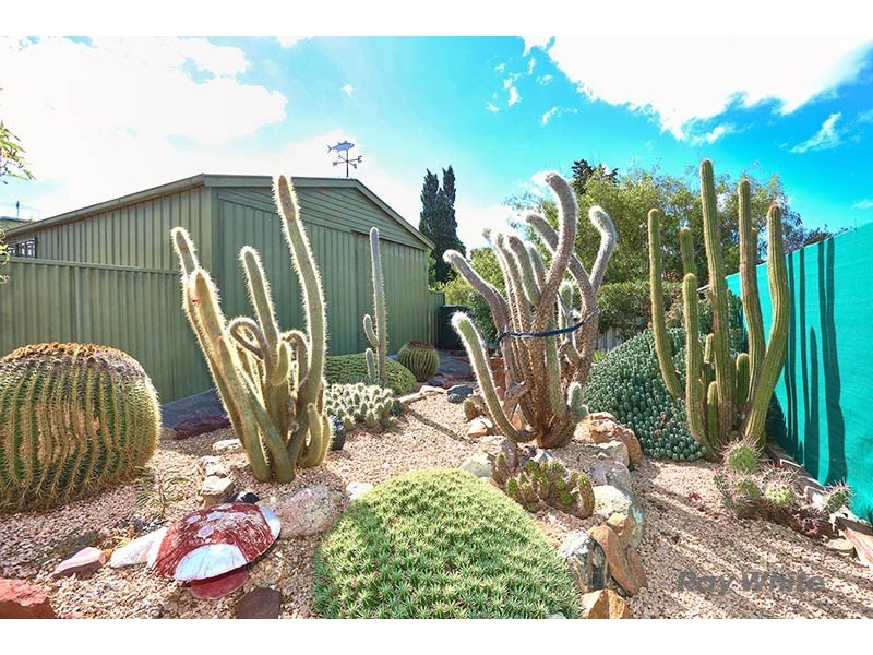 21 Tiddy Widdy Beach Road, Tiddy Widdy Beach SA 5571