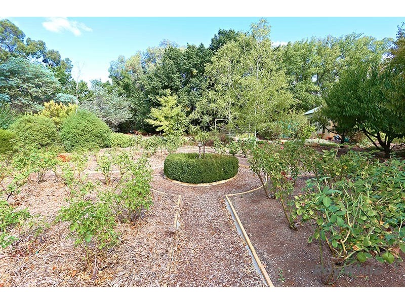 59 Victoria Road, Clare SA 5453