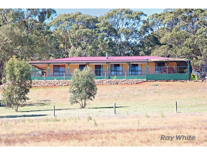 46 Koorama Road, Clare SA 5453
