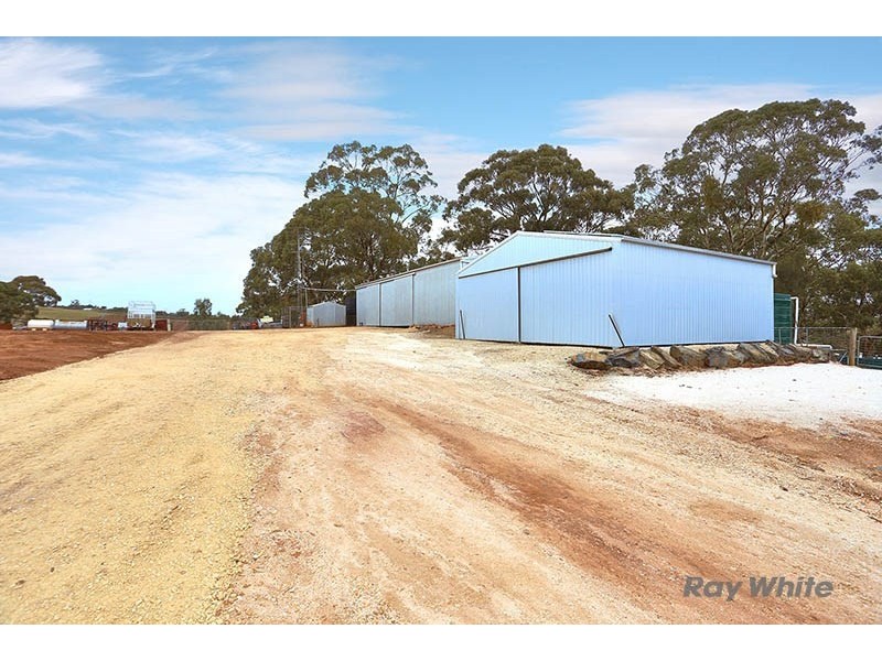 46 Koorama Road, Clare SA 5453