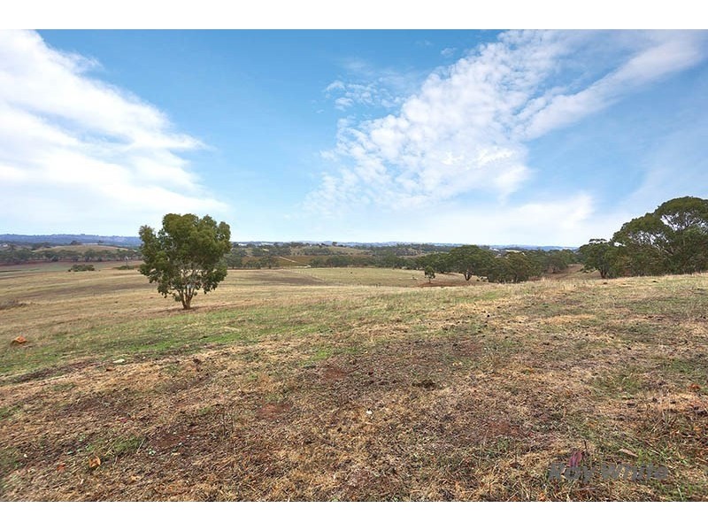 46 Koorama Road, Clare SA 5453