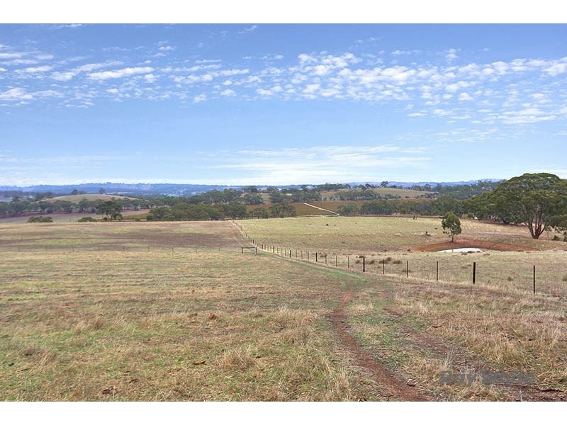 46 Koorama Road, Clare SA 5453