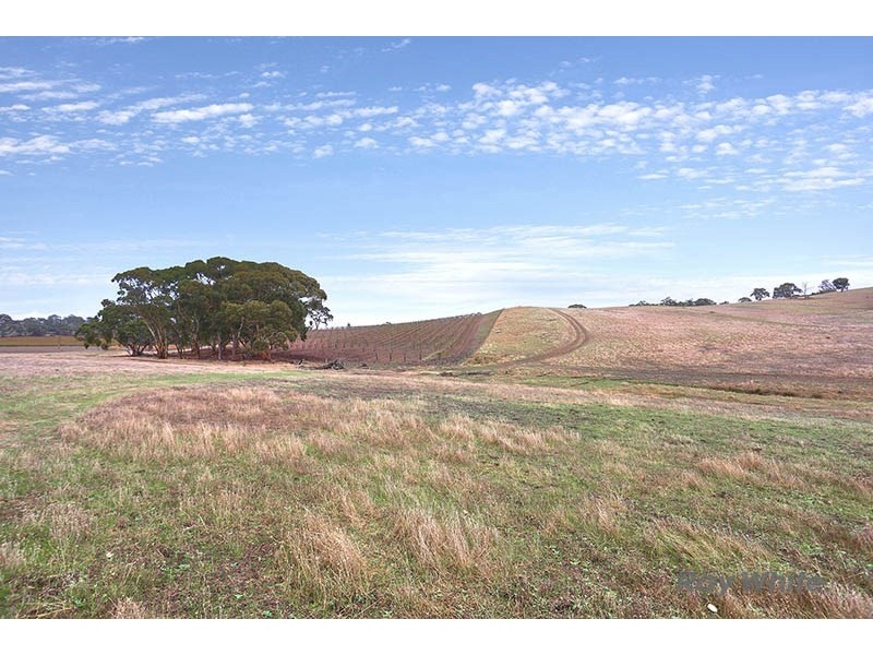 46 Koorama Road, Clare SA 5453